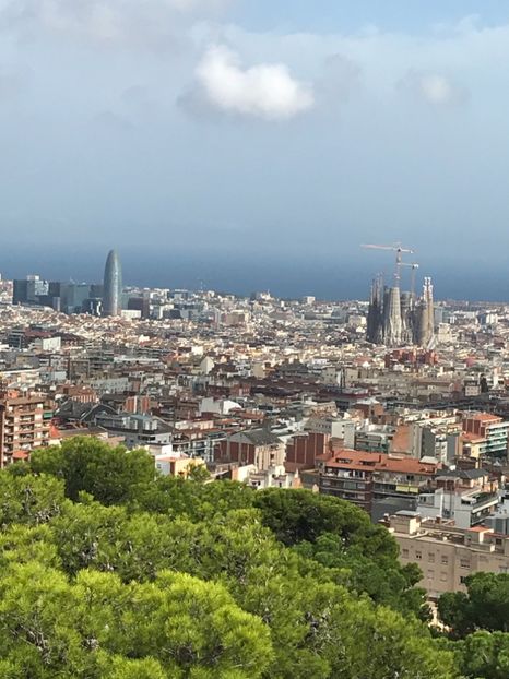 FA3C6E07-AEBB-4C24-9B07-B152B82C92CC - Spania 2018