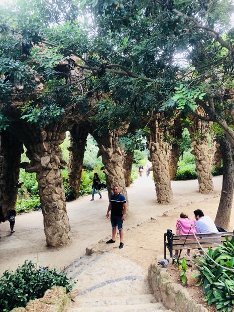 6AC55318-863D-4771-B528-8C9F8C2951FA - Spania 2018