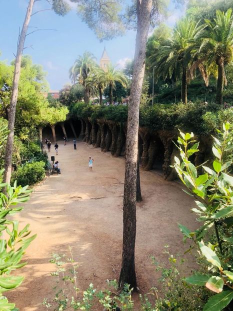 7A128641-4E12-4DAB-A150-9B2FDDD1270A - Spania 2018