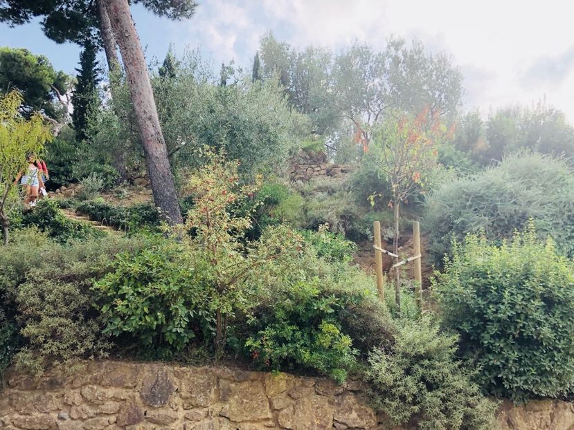 6C3C6565-168F-4082-A418-1D1734181012 - Spania 2018