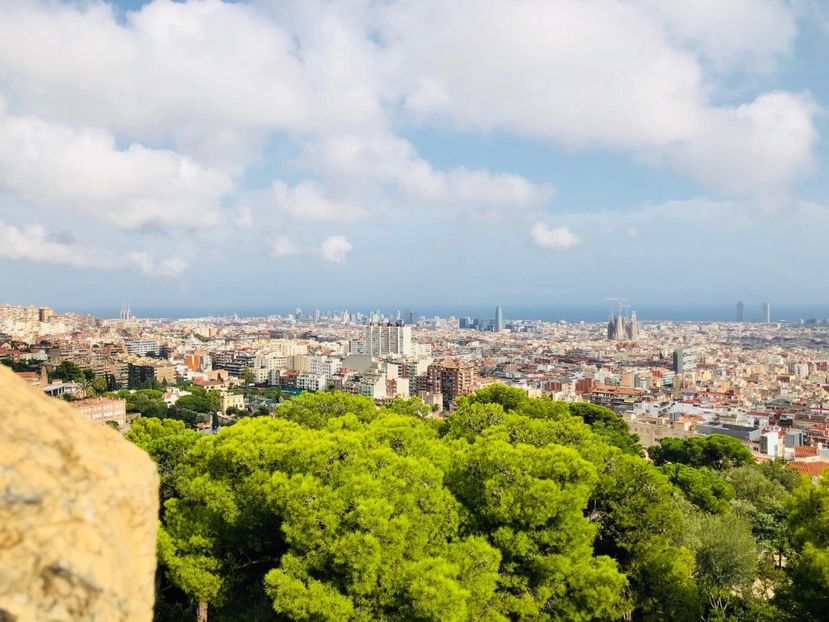 3379199B-BC89-4FE9-A7DE-5A6D3C7087AD - Spania 2018