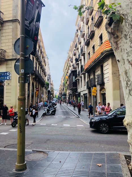 717F8149-CDFC-4EF5-B90D-18EC8BFFF331 - Spania 2018