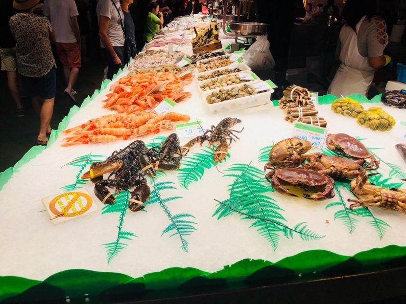 14E80871-29F1-43A5-918F-B5A8D5CB48C9 - Spania 2018