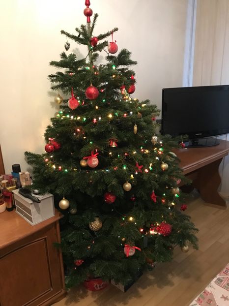 C5030FFB-D04B-442D-A3C9-617DED30571B - Decembrie 2018