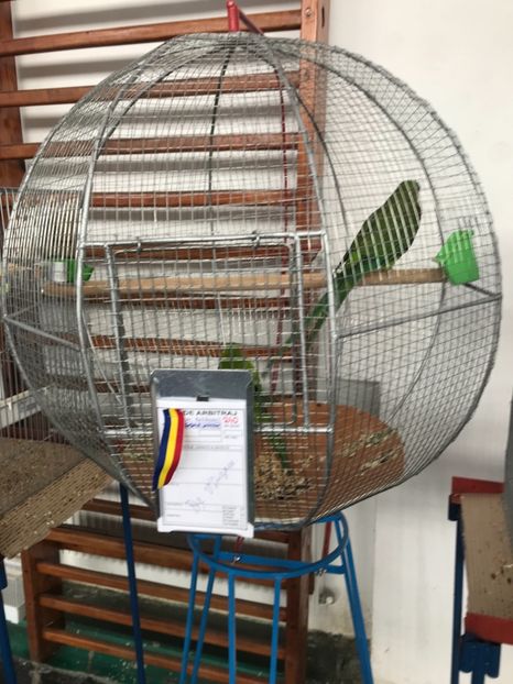 FCCC6AFE-D132-4DE7-AFE5-E59F911B7058 - Tirguri 2019