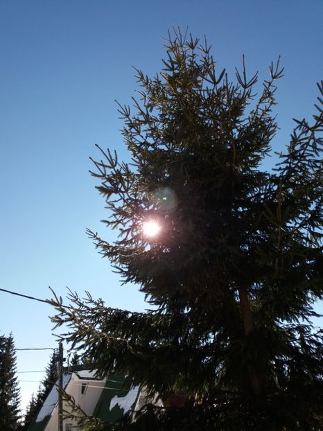  - Rânca februarie 2019