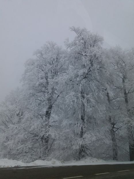  - Rânca februarie 2019