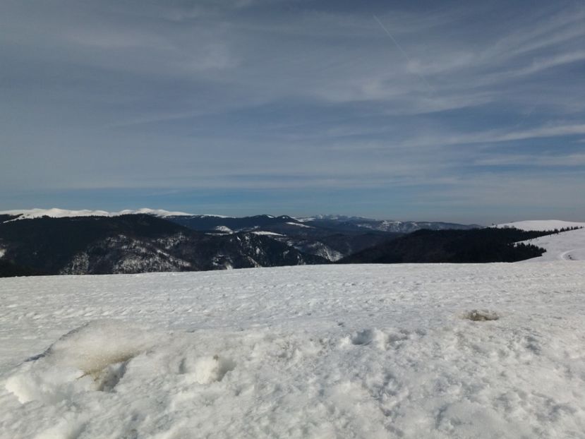  - Rânca februarie 2019