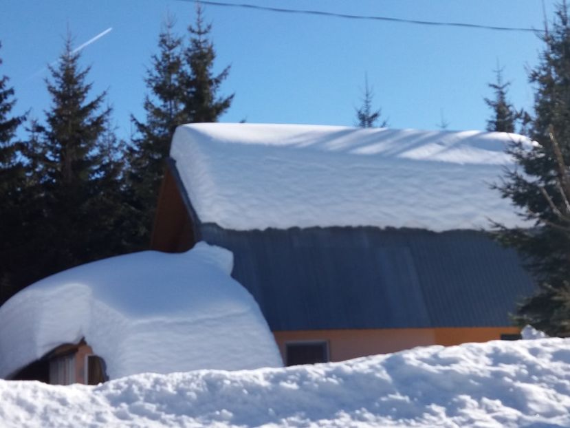  - Rânca februarie 2019