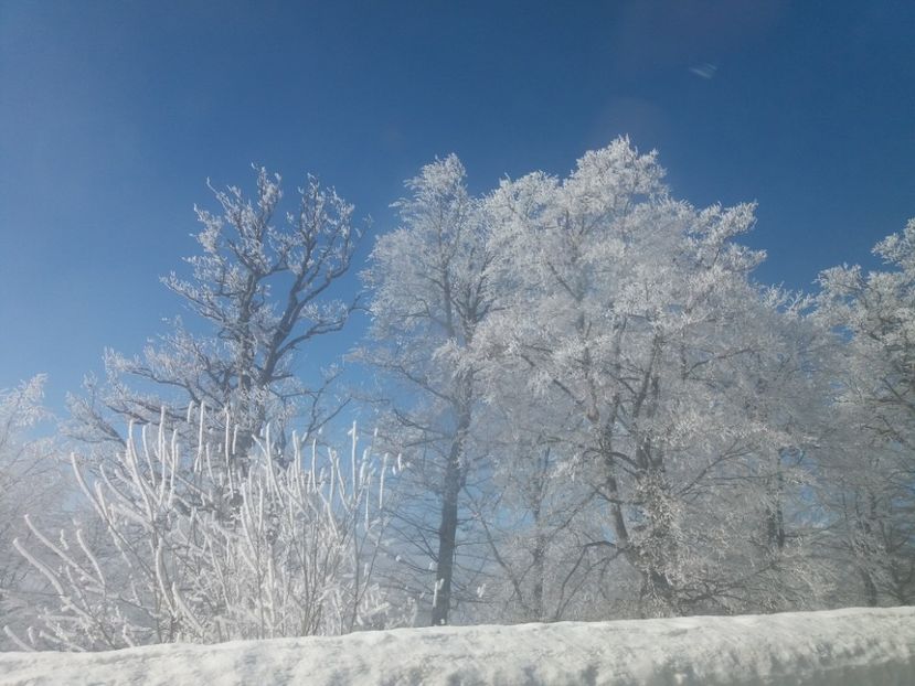  - Rânca februarie 2019