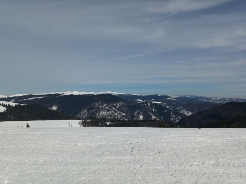  - Rânca februarie 2019