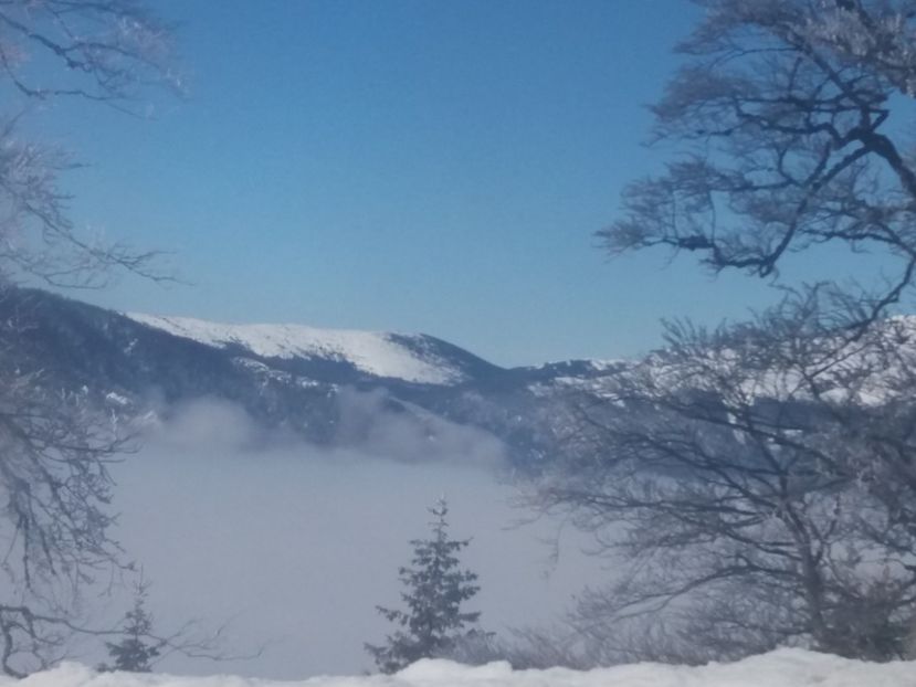  - Rânca februarie 2019