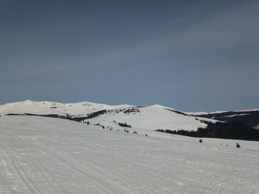  - Rânca februarie 2019