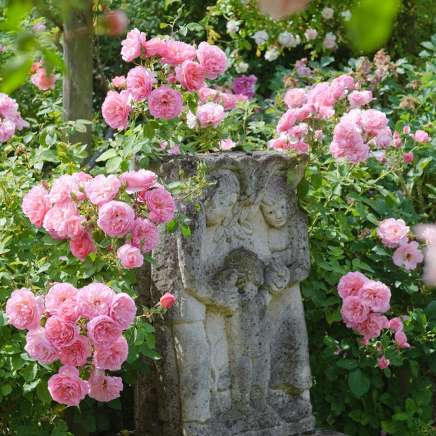 Hyde_Hall_3_2 - Hyde Hall AUSbosky