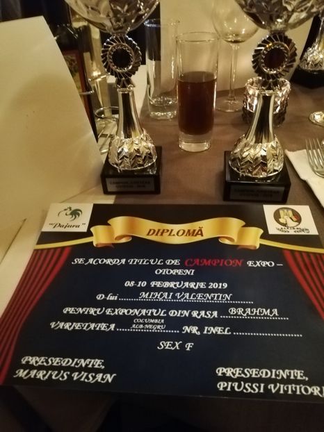  - Contact Bucuresti-Ilfov