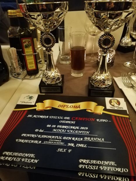  - Contact Bucuresti-Ilfov