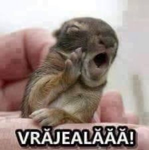 Eurovision 2018 - 2018 Eurovision Song Contest Part 11