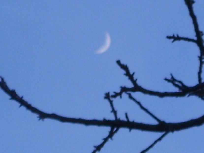 Luna in crestere in Berbec - Luna - Soarele si norii - 1