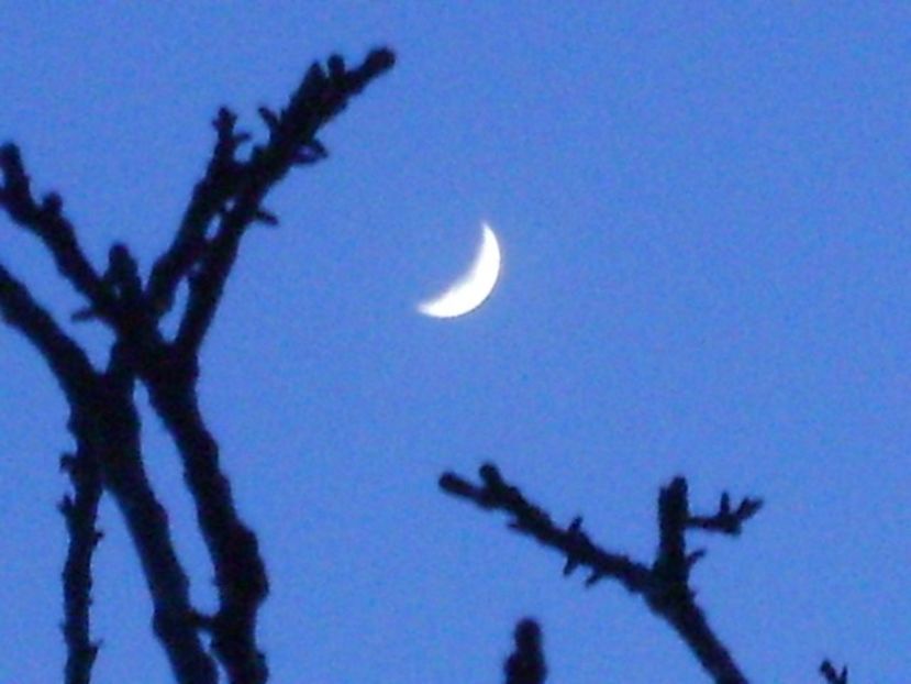 Luna in crestere in Berbec - Luna - Soarele si norii - 1