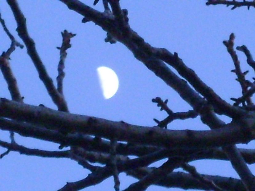 Primul patrar in Gemeni - Luna - Soarele si norii - 1
