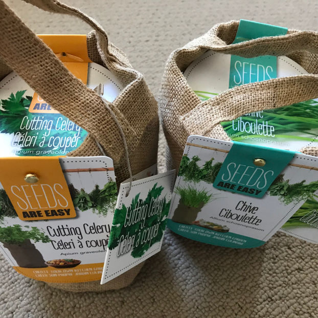  - Jurnalul gradinii 2019