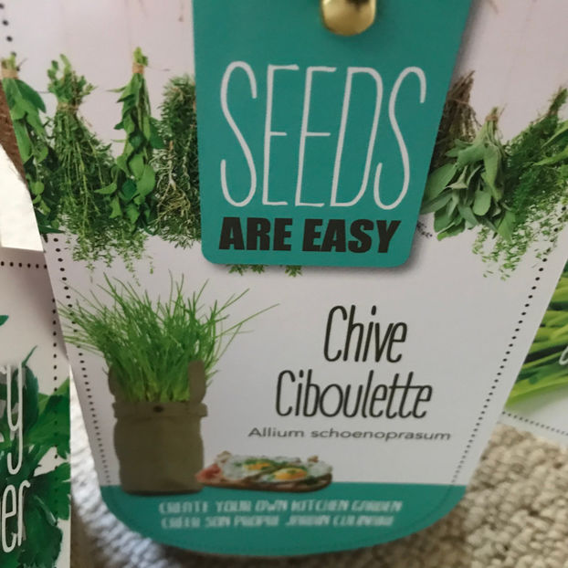  - Jurnalul gradinii 2019