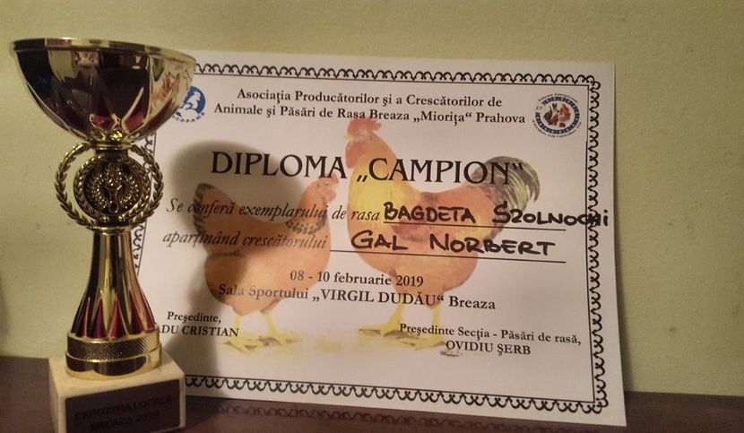 Expo Breaza 2019 - Rezultate 2016-20xx