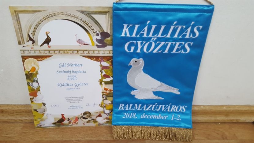 Expo Balmazujvaros 2018 - Rezultate 2016-20xx