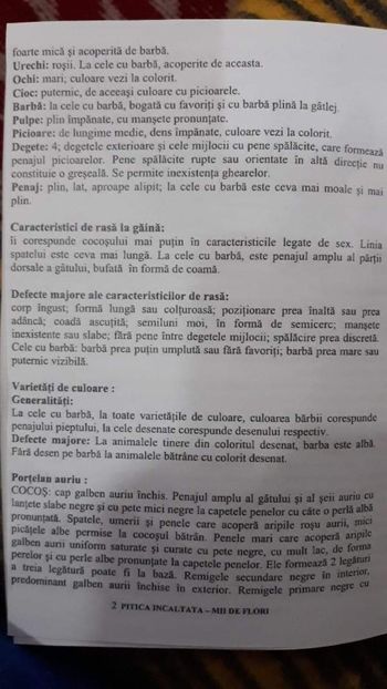  - Standard mi de flori