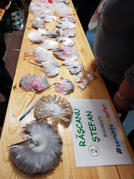  - Piata Seminte cu Suflet Ploiesti 2019