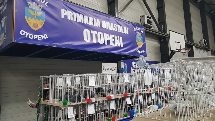  - 0 - Expozitie Județeană Otopeni 8-10 febr 2019