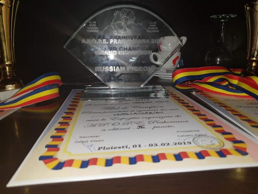 Campion 2019 - Campion Romania si Bulgaria 2019