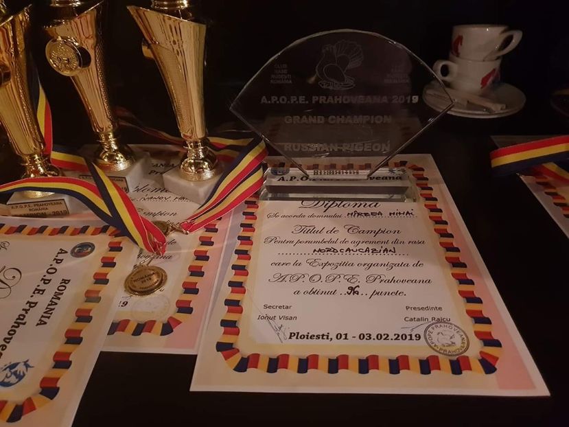 Campion 2019 - Campion Romania si Bulgaria 2019