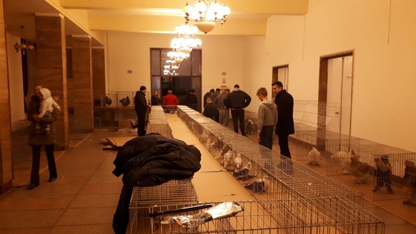  - EXPOZIȚIA ASOCIAȚIEI CETATE DEVA LA CUGIR ÎN 10 Februarie 2019