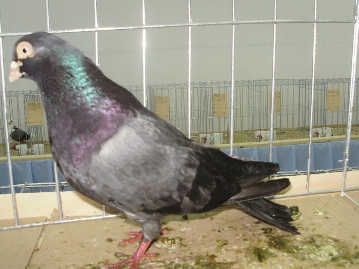 PB132143