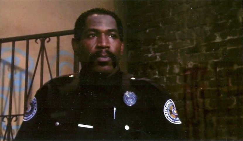 Academia De Politie - Academia de Politie