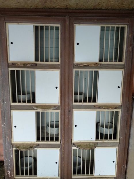  - Boxele pentru matcă 2019