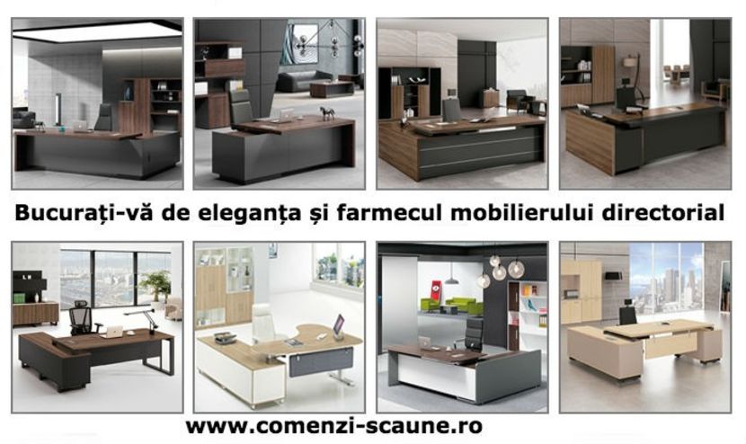 Birouri-directoriale-executiv-lux-5 - Mobilier directorial