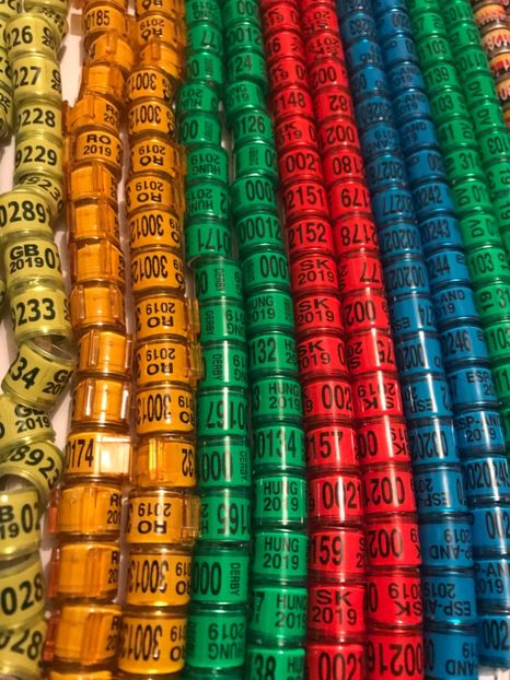  - 01 Inele Porumbei Amatori Tari Straine 2019