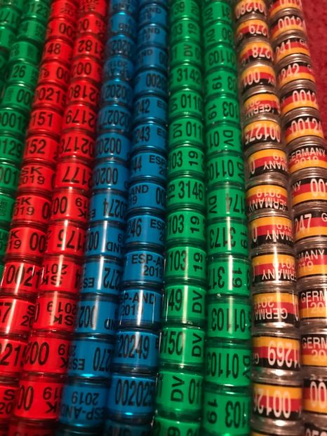  - 01 Inele Porumbei Amatori Tari Straine 2019