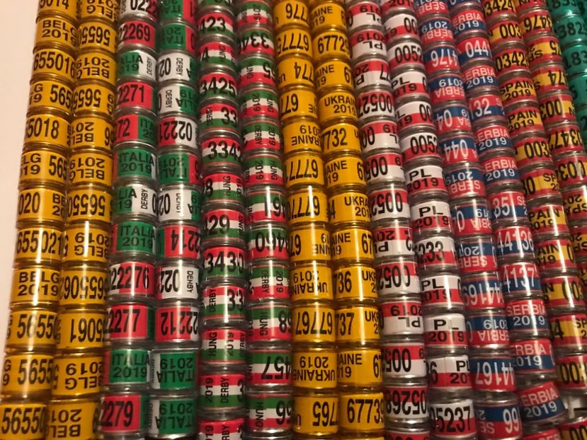  - 01 Inele Porumbei Amatori Tari Straine 2019