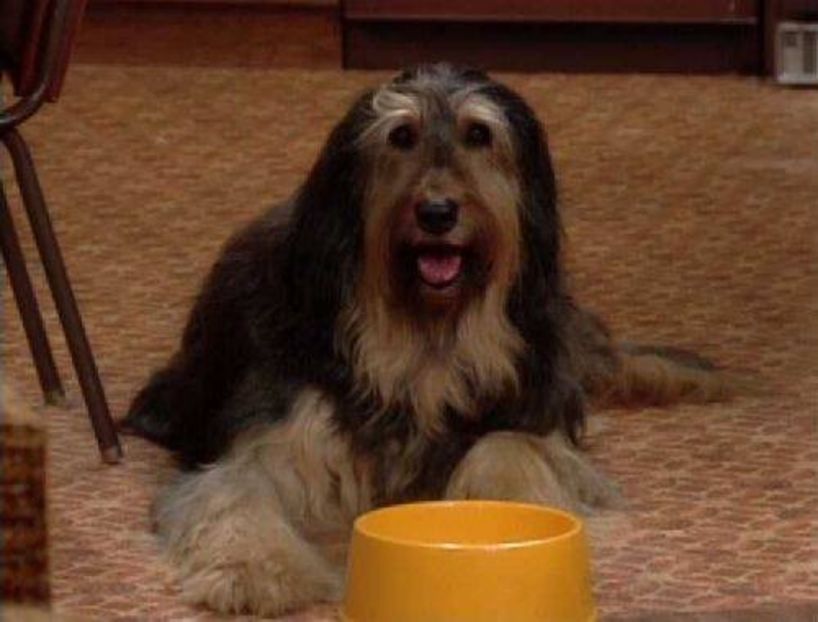 Familia Bundy - Familia Bundy Part 1