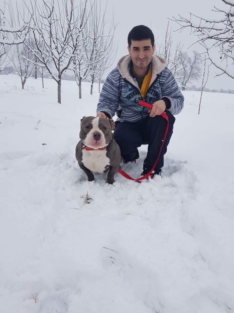 received_2241532406169840 - altele