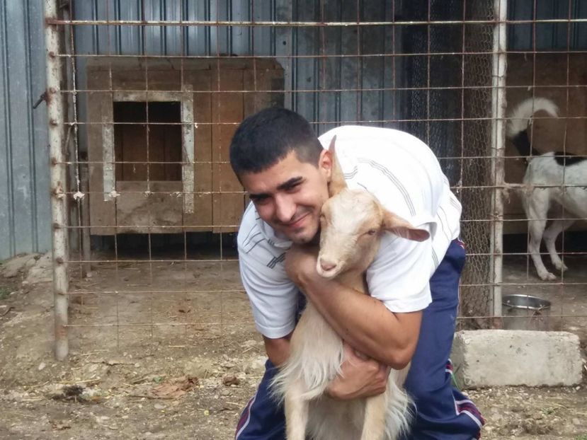 received_824271057738897 - altele
