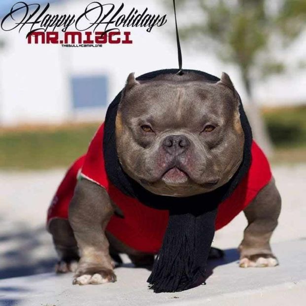 received_107866026800395 - altele