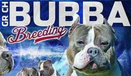 received_178271459740992 - altele