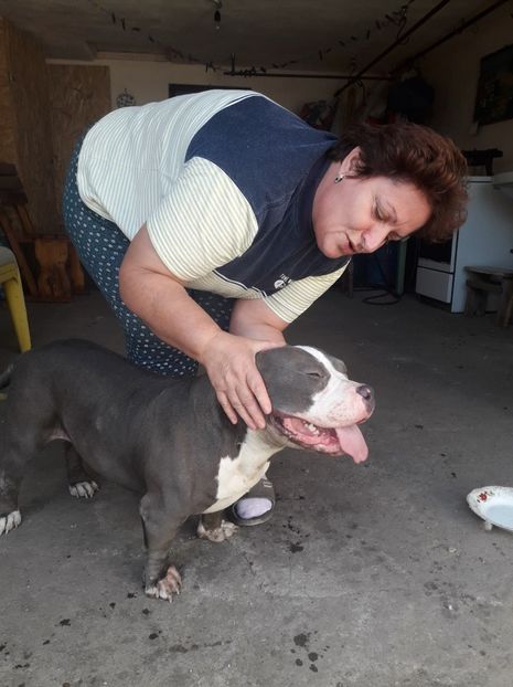 received_1907551832672894 - altele