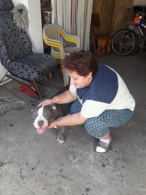 received_326051017960397 - altele