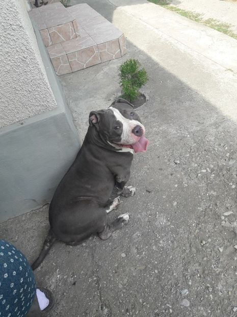 received_489254268210145 - altele