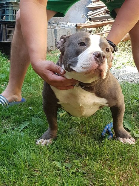 received_1162822880522937 - altele